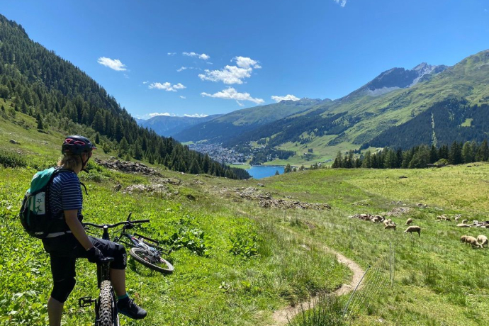 Mountainbike Tour Privat Davos (exp_493428d) Mountainbike Tour Privat Davos (exp_493428d)