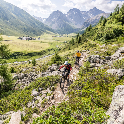 Mountainbike Rinerhorn Mountainbike Rinerhorn