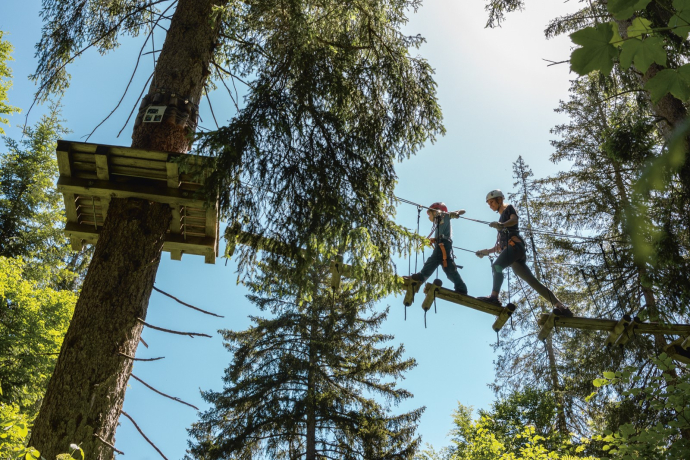 Im Hochseilpark von Baum zu Baum klettern Im Hochseilpark von Baum zu Baum klettern