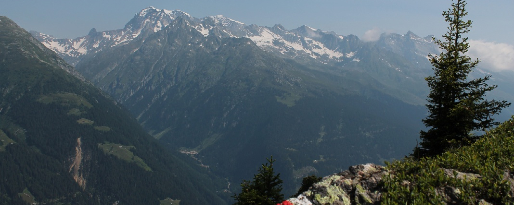 Blick auf den Tödi von der Alp Soliva