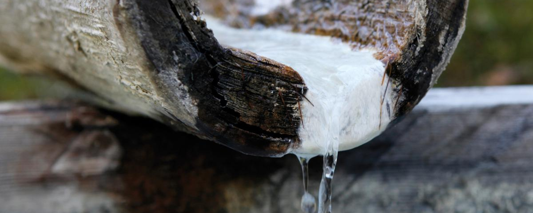Schwefelwasser