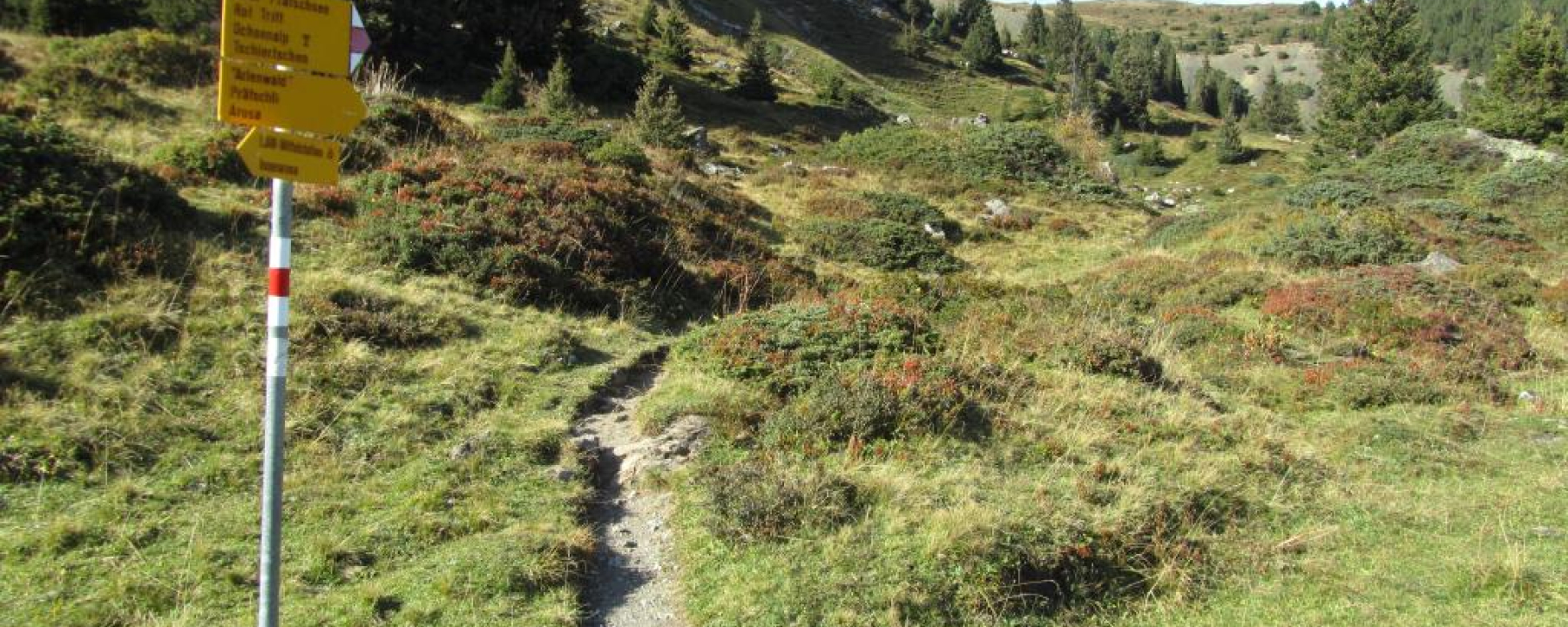 Wanderweg zum Weisshorn
