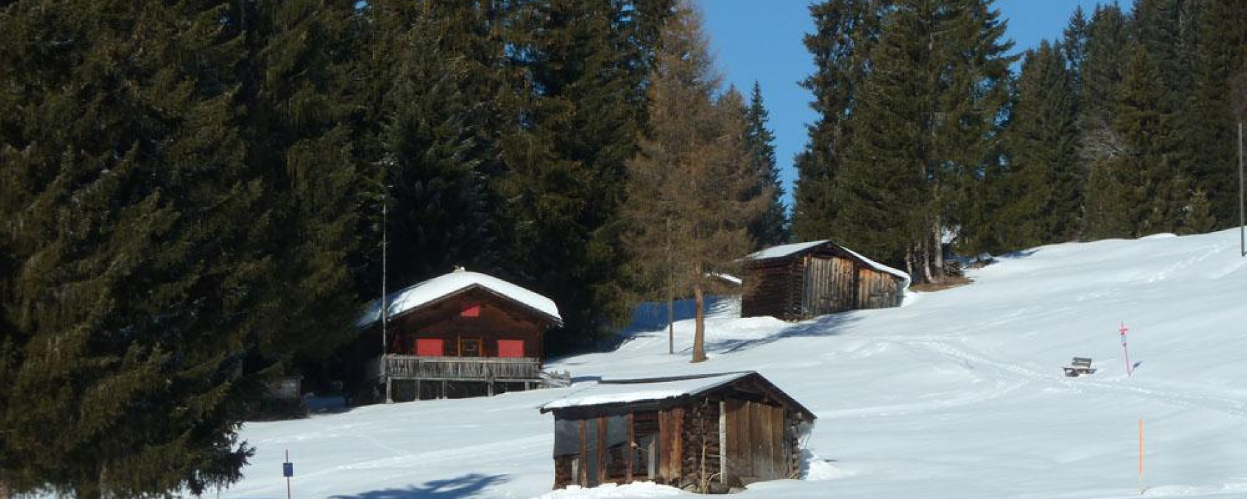 Gemütlich bergan...