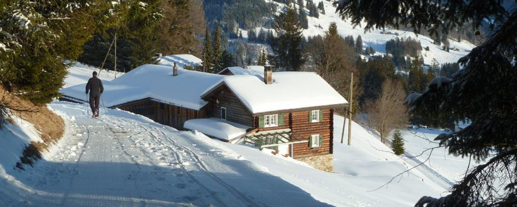 Oberhalb vom Chrühof geht's in den Wald hinein.