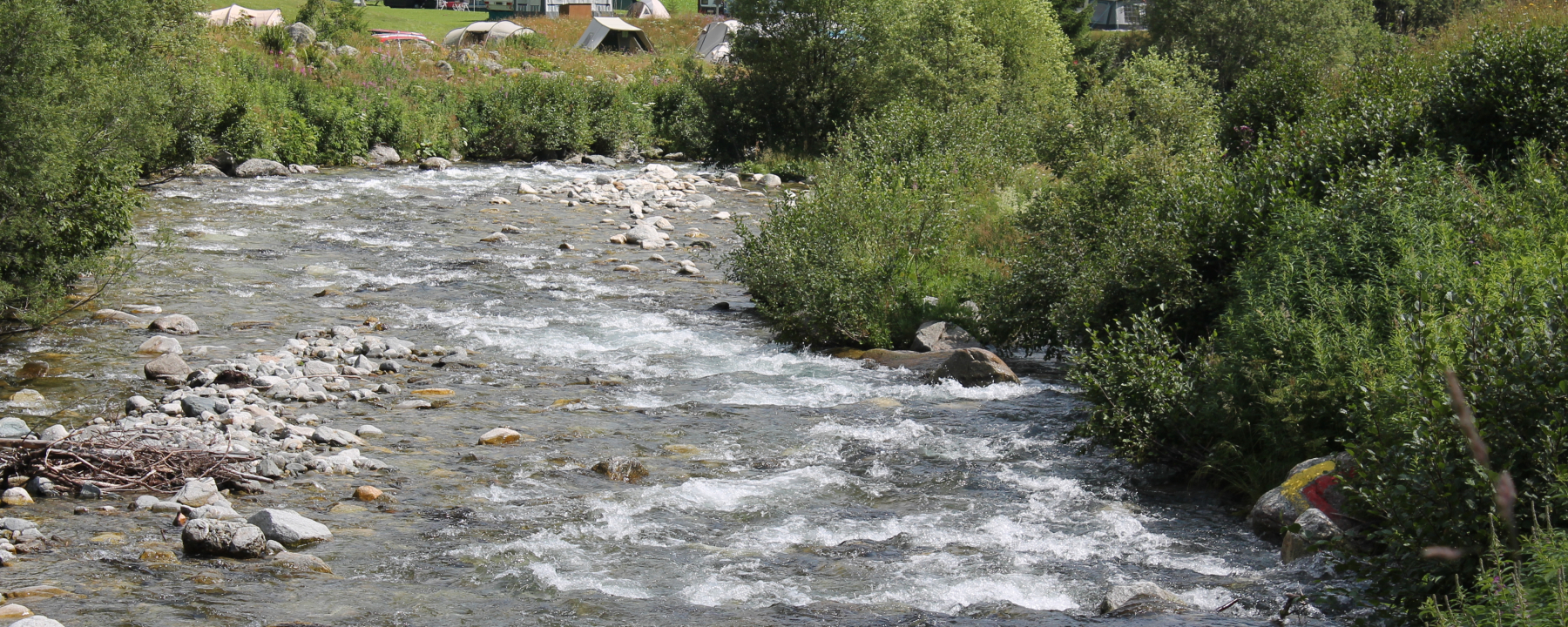 Direkt am Rhein gelegen