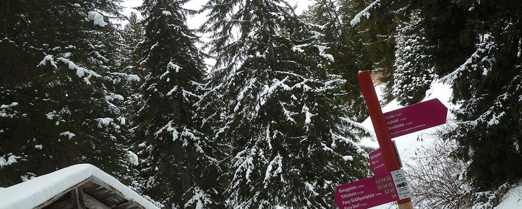 Lauschige Abschnitte durch den Winterwald (Verzweigungspunkt Waldhütte)