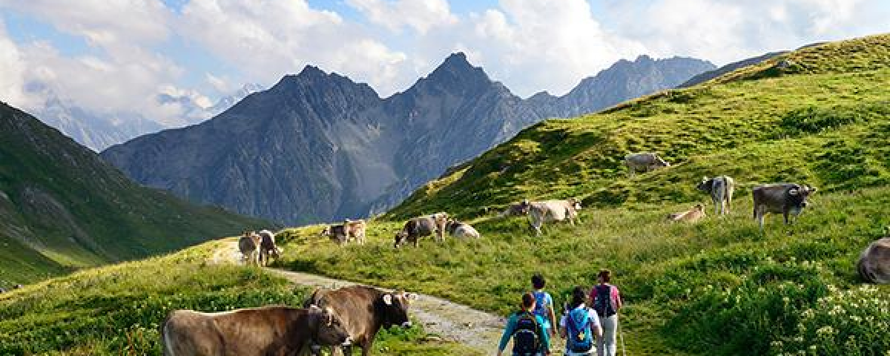 Am Septimerpass mit Blick ins Bergell