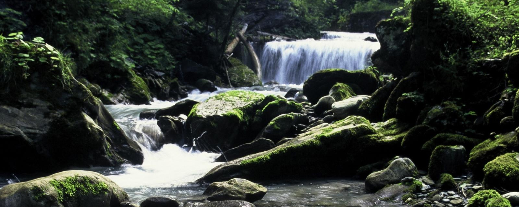 Rabios Schlucht
