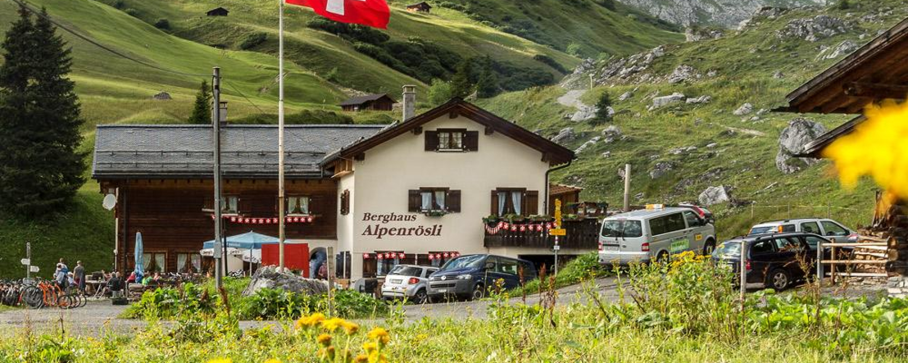 Alpenrösli im Sommer