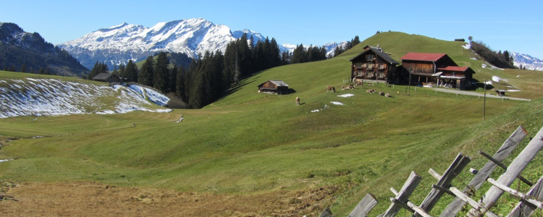 Berghaus Scära