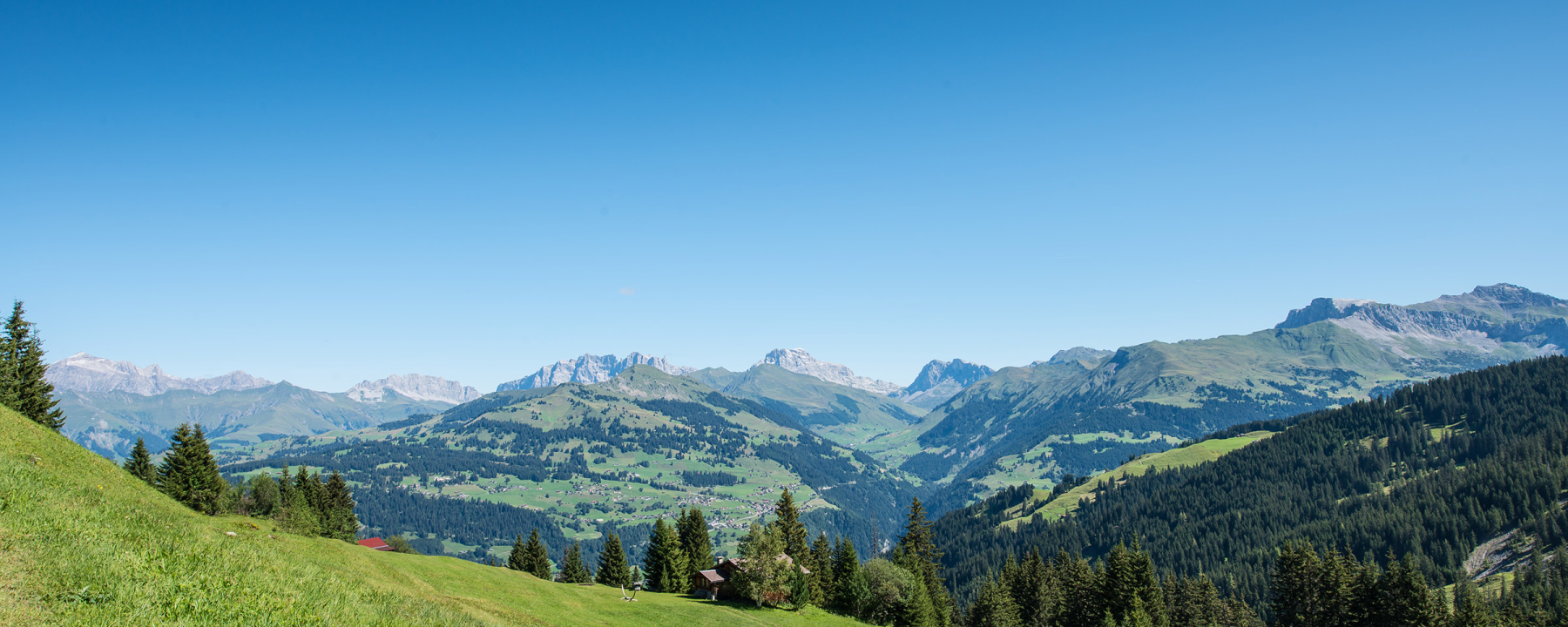 Blick vom Heuberg in Richtung Rätikon