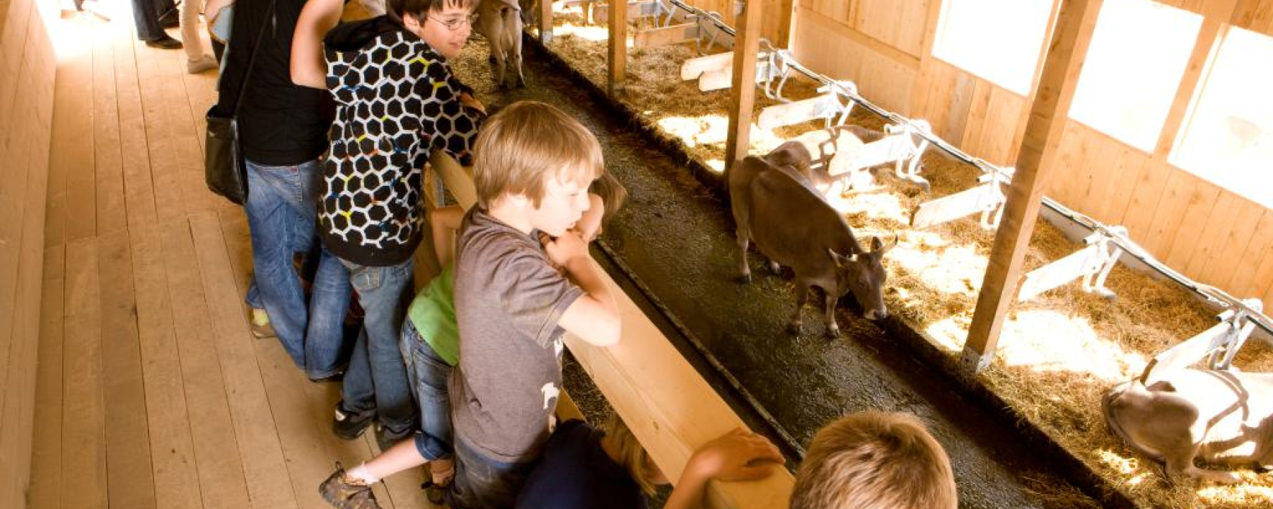 Auf dem Steg können die Tiere beobachtet werden