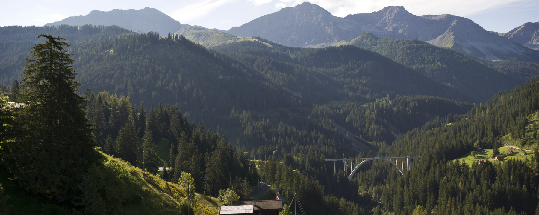 Viadukt Langwies