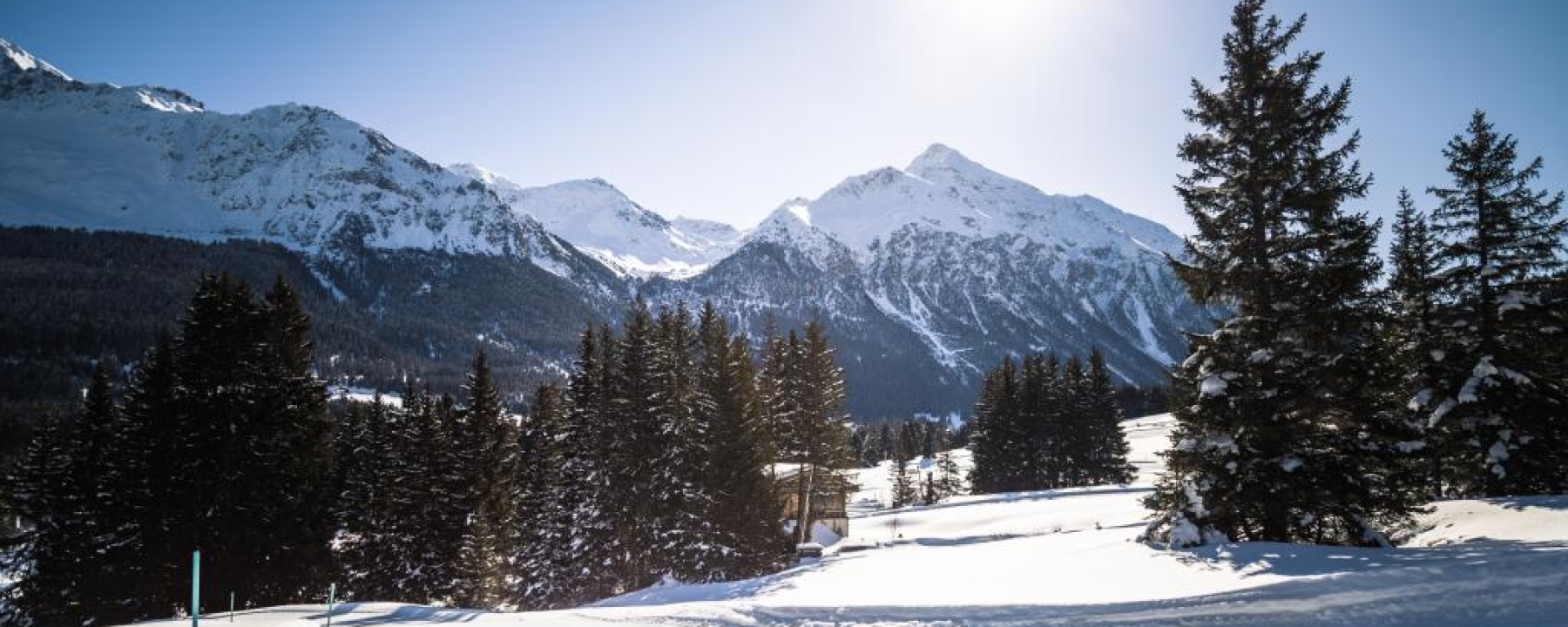 Rennloipe La Pala mit Lenzerhorn im Hintergrund