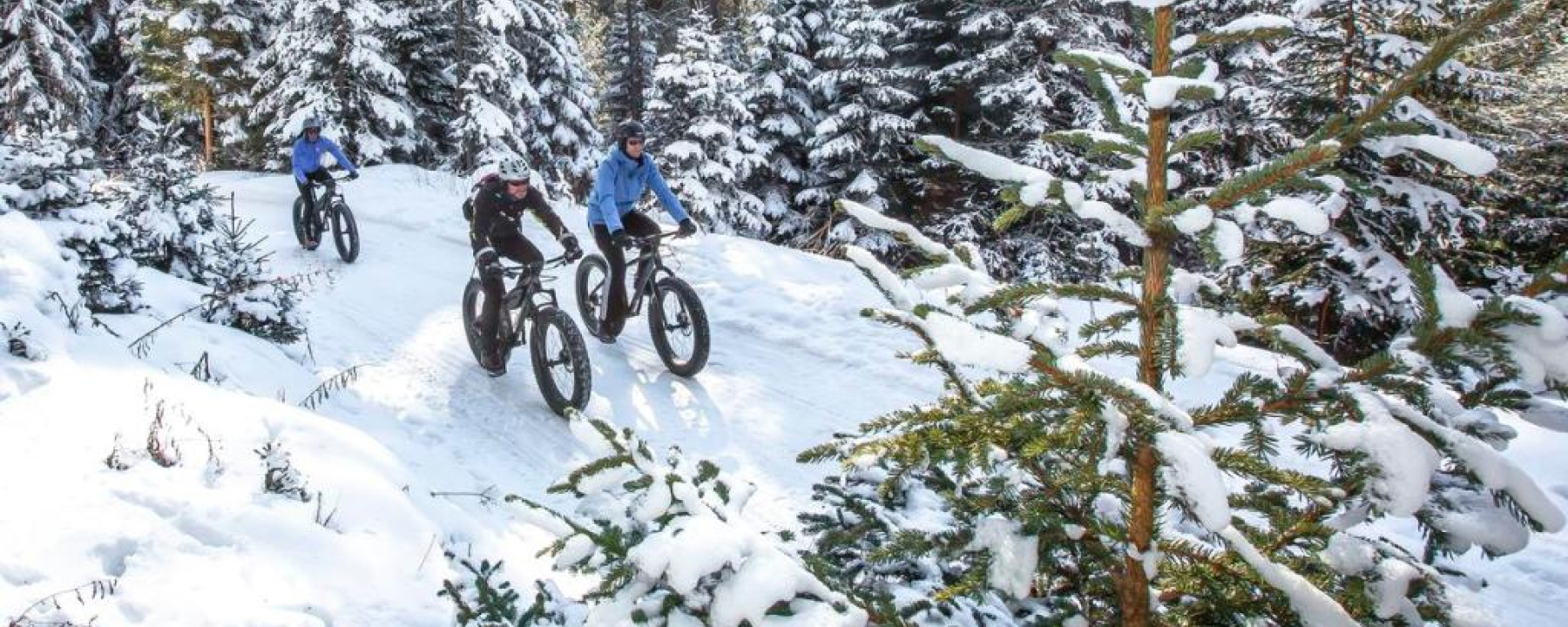 Fatbike Tour Lenzerheide