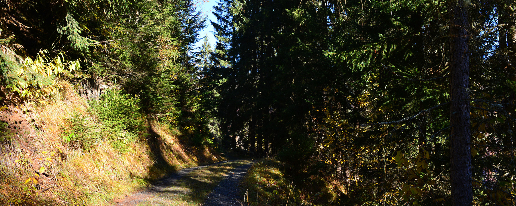 Unterwegs auf dem Spazierweg