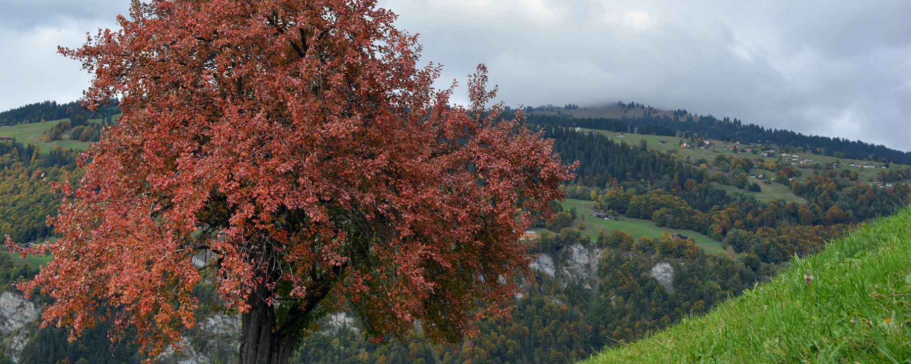 Oberhalb von Fideris