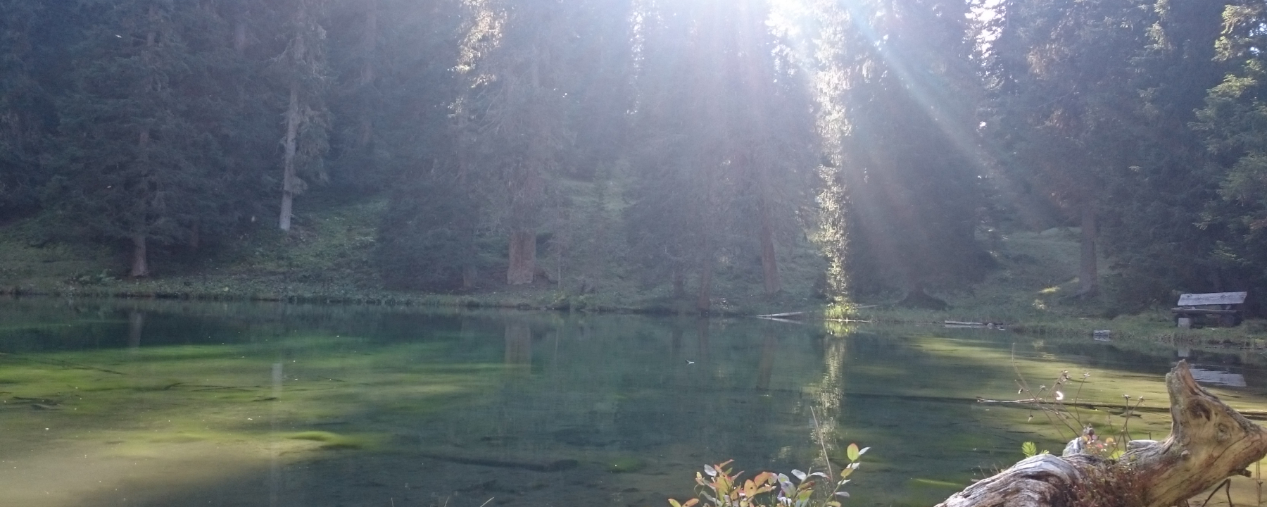Das Grüenseeli in der Abendsonne
