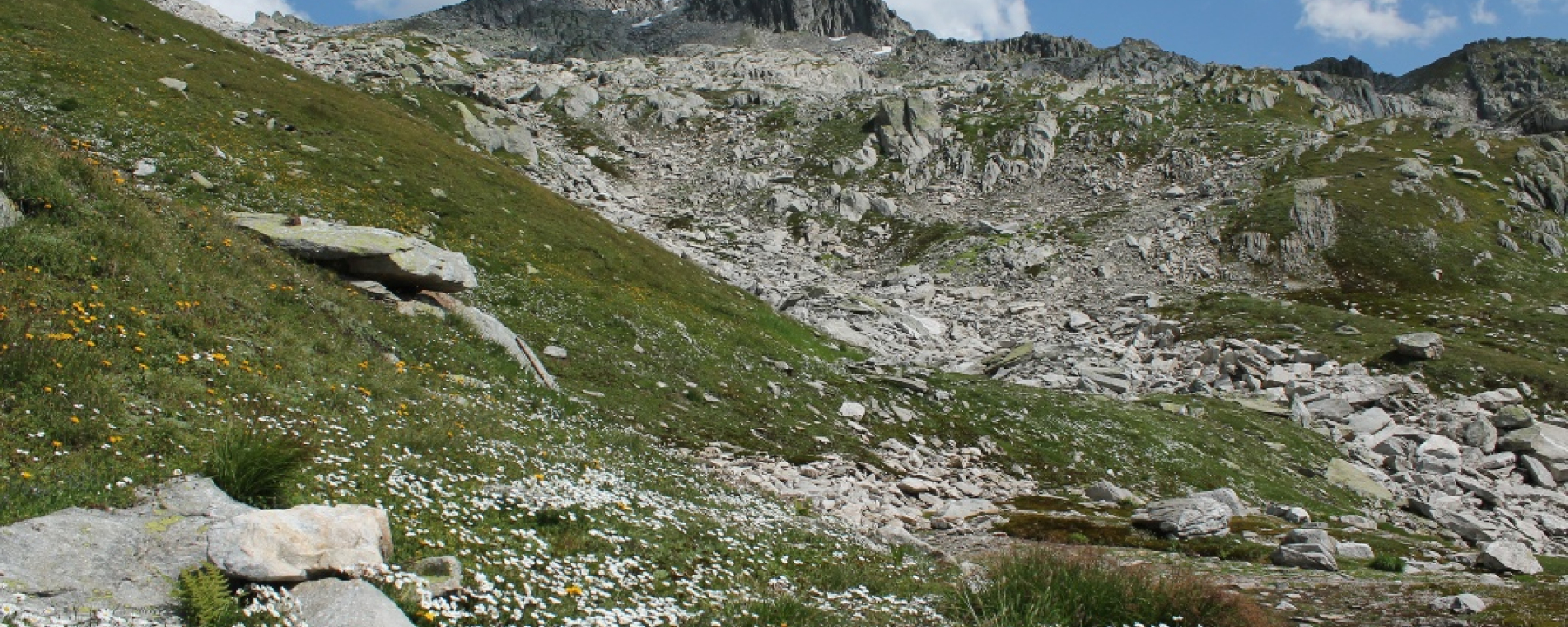 weglos mit Blick auf den Krüzlistock
