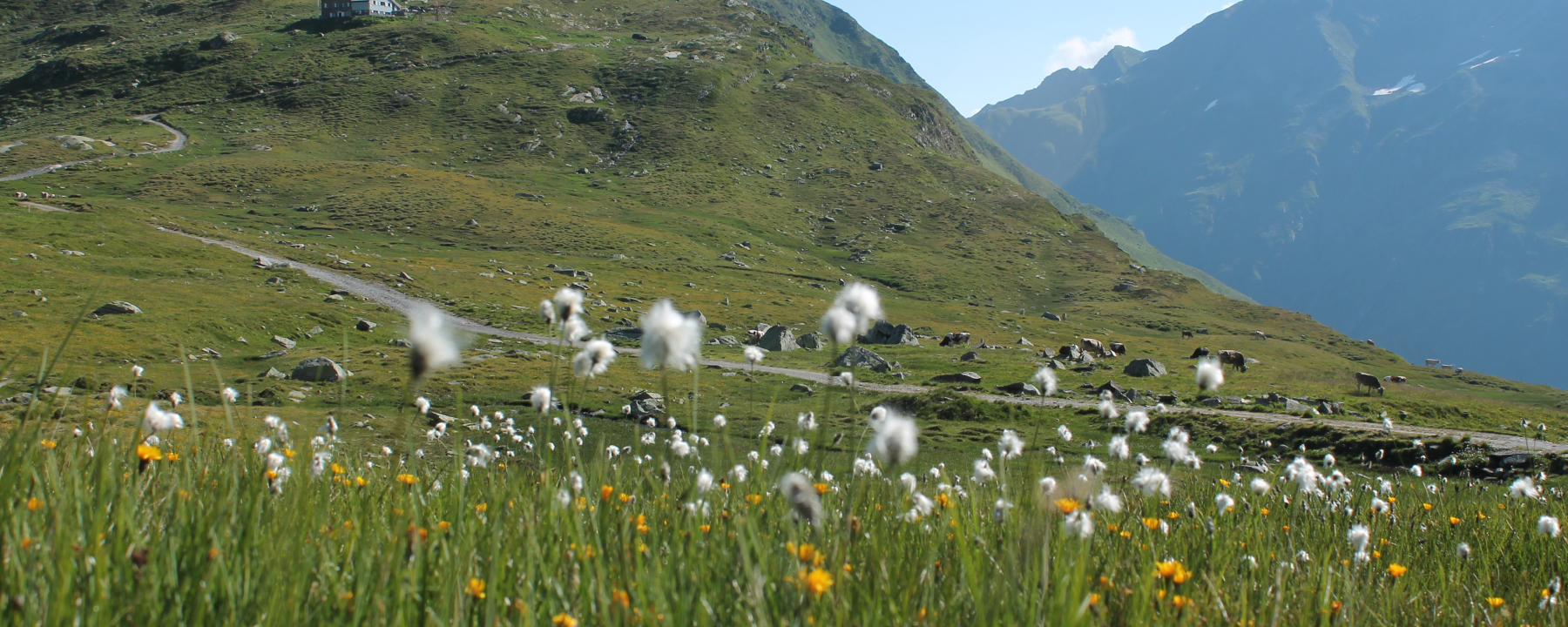Maighelshütte