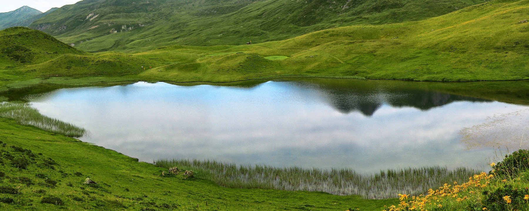 Grünsee