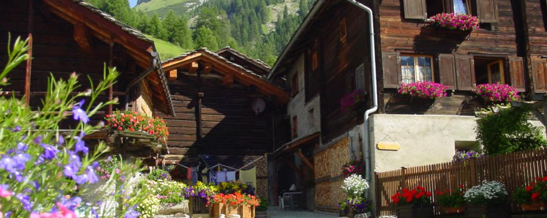 Walserhäuser in Splügen