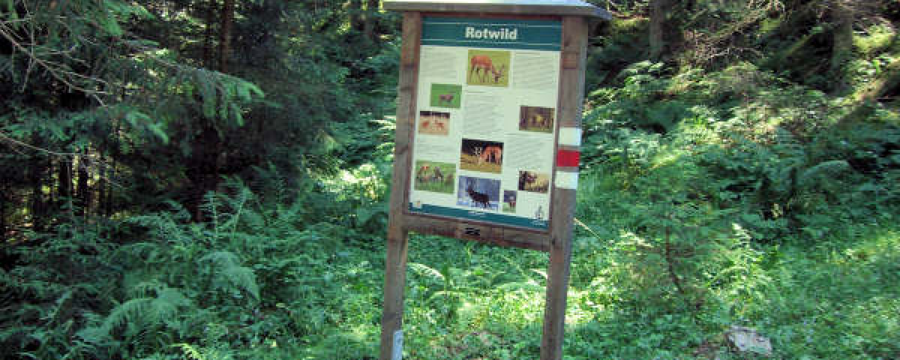 Informationstafel Rotwil