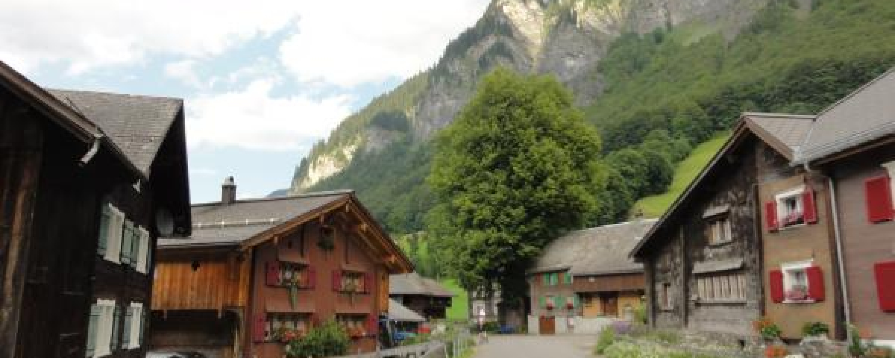 Weisstannen Oberdorf mit Dorflinde