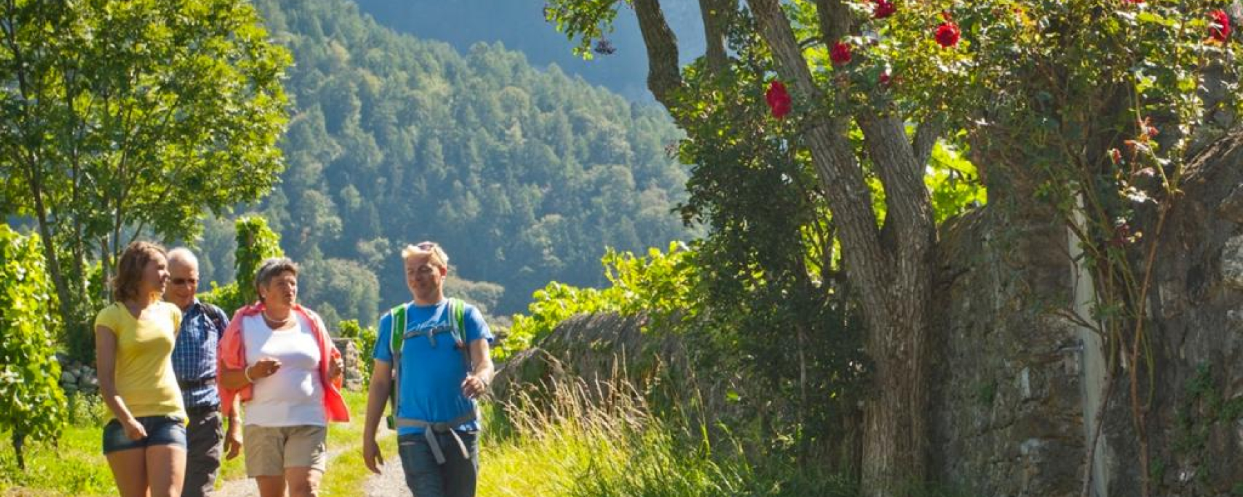 Wanderung in der Bündner Herrschaft