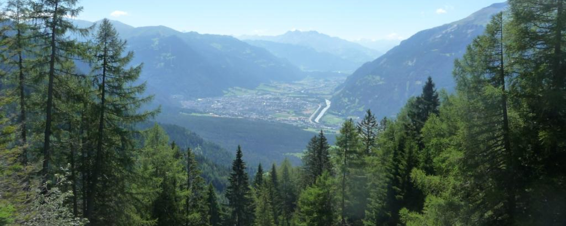 Aussicht aus dem Wald