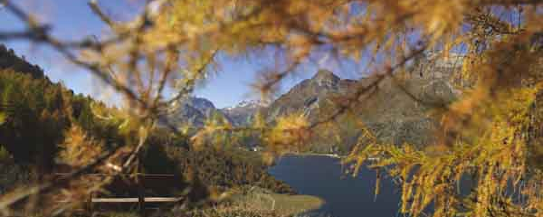 Herbststimmung in Sils
