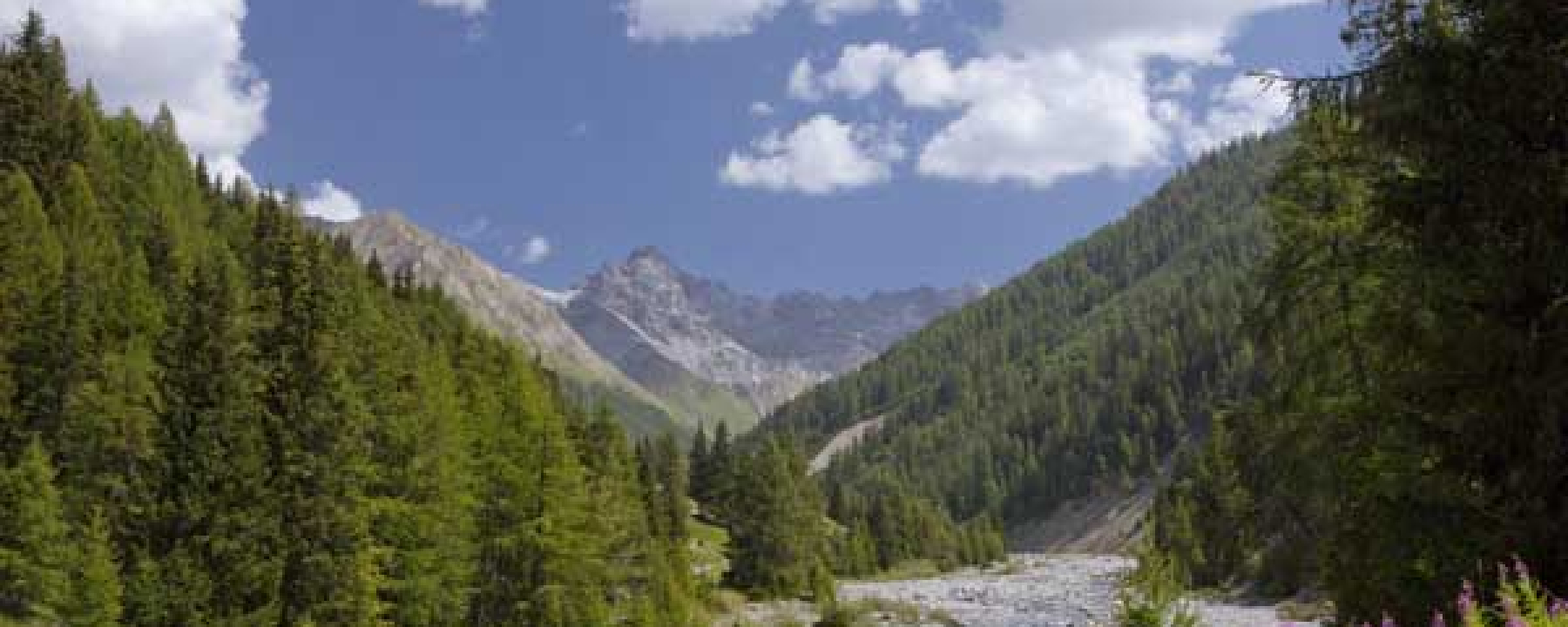 Oberhalb des Val Cluozza