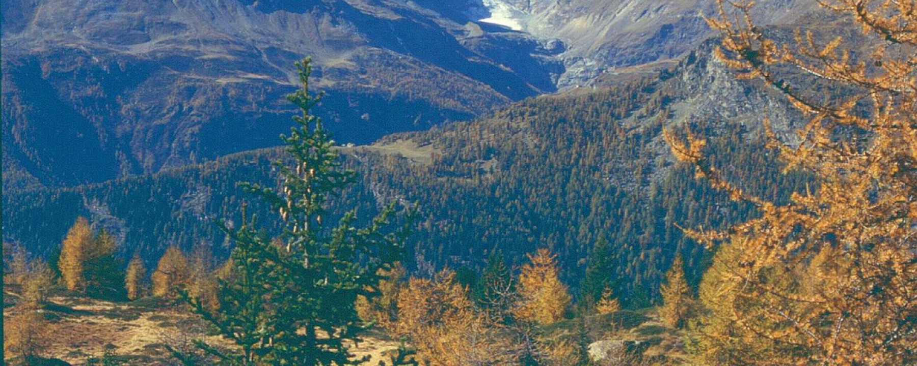 Aura Freida mit Bergpanorama
