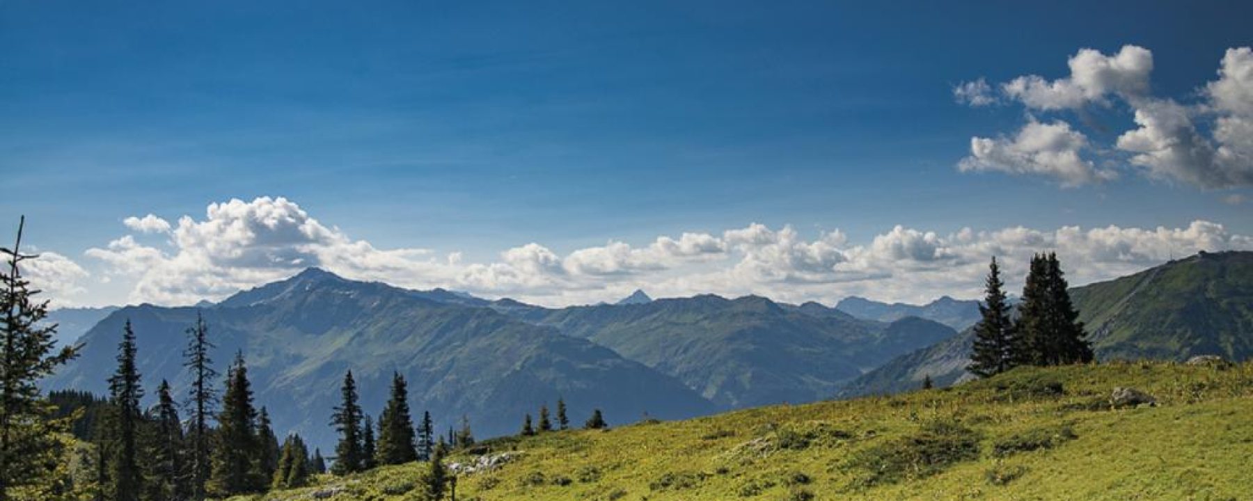 Madrisa