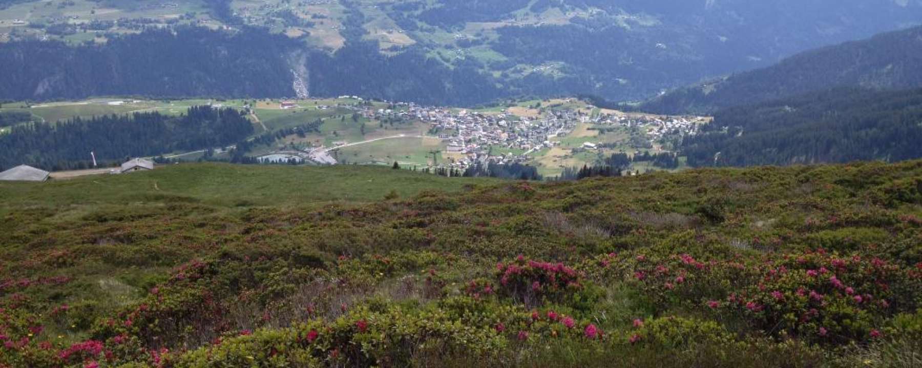 Aussicht auf Brigels