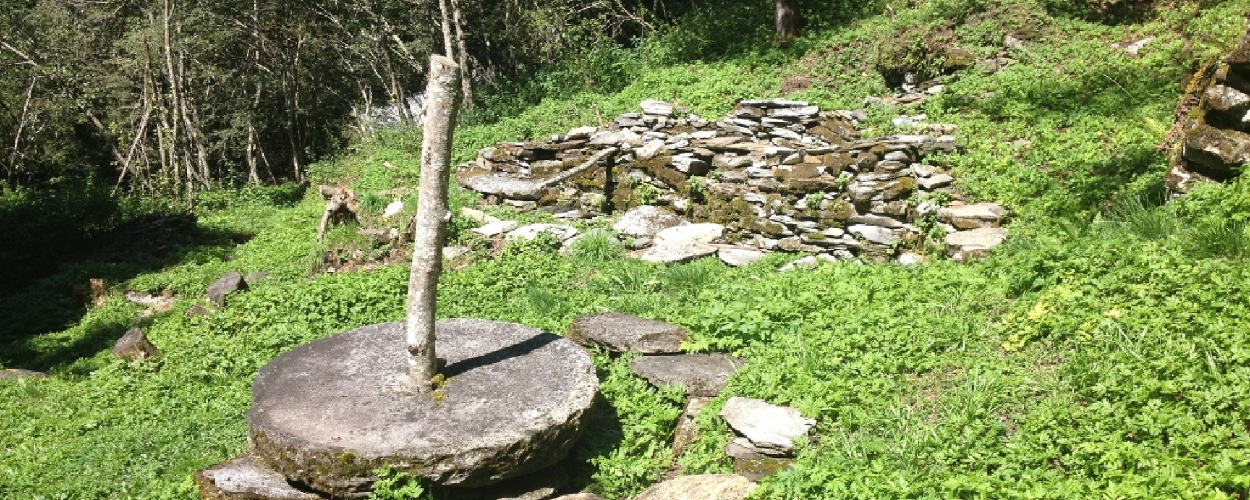 Mühle bei Surin