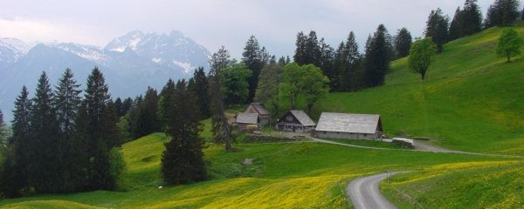 Alp Schrina, mit Moränenhügel davor