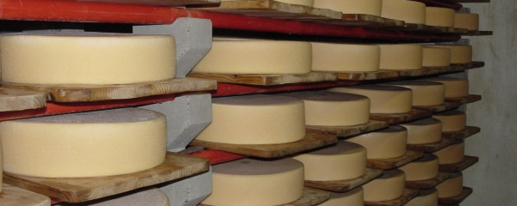Käsekeller Schrina