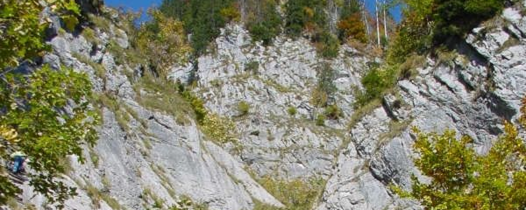 Sitzbachtobel, schöner Schluchtwald