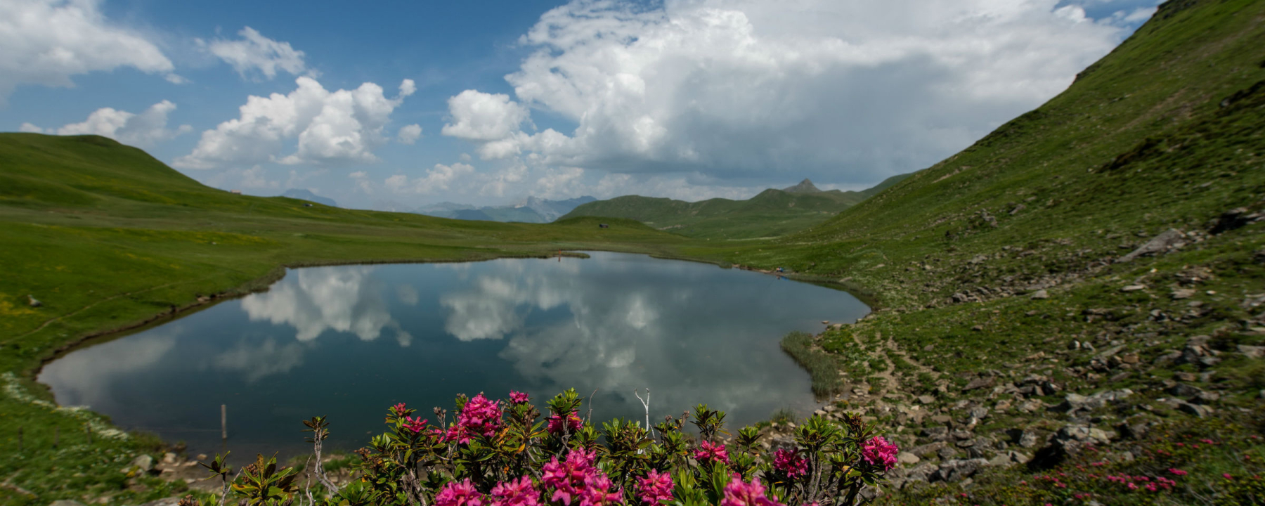 Clunerseen