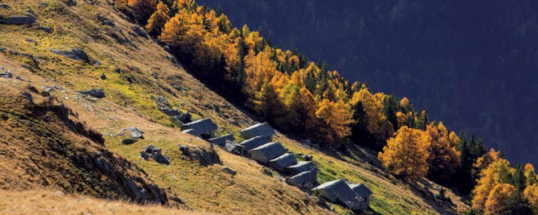 Malinone