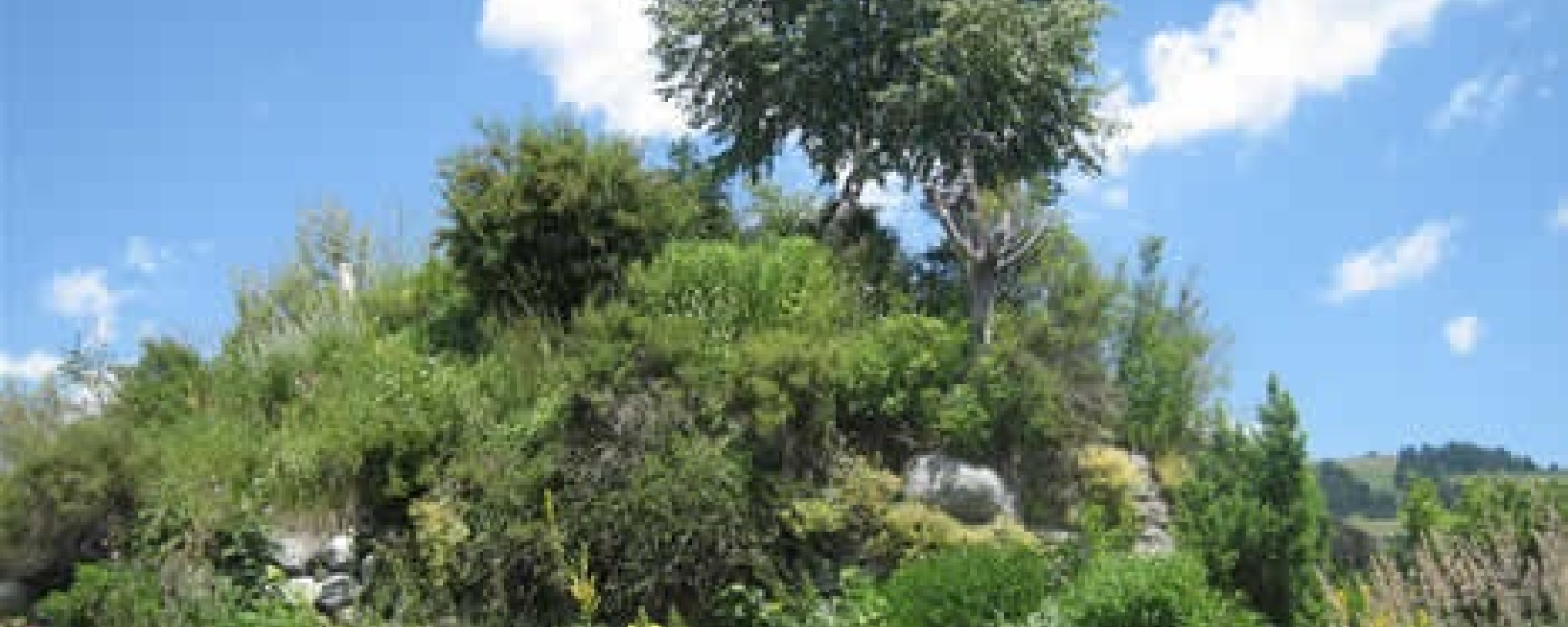 img_4kq_cdjicfai