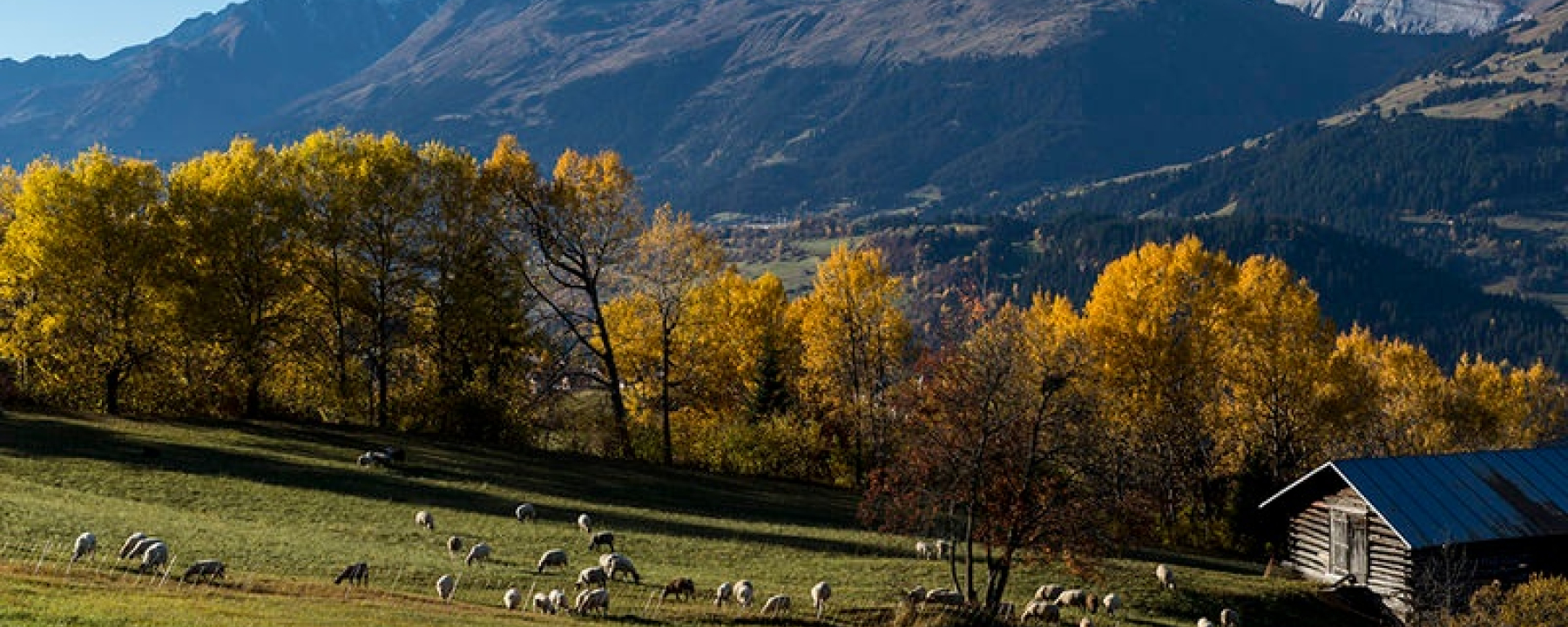 Panorama Camping, Surcuolm