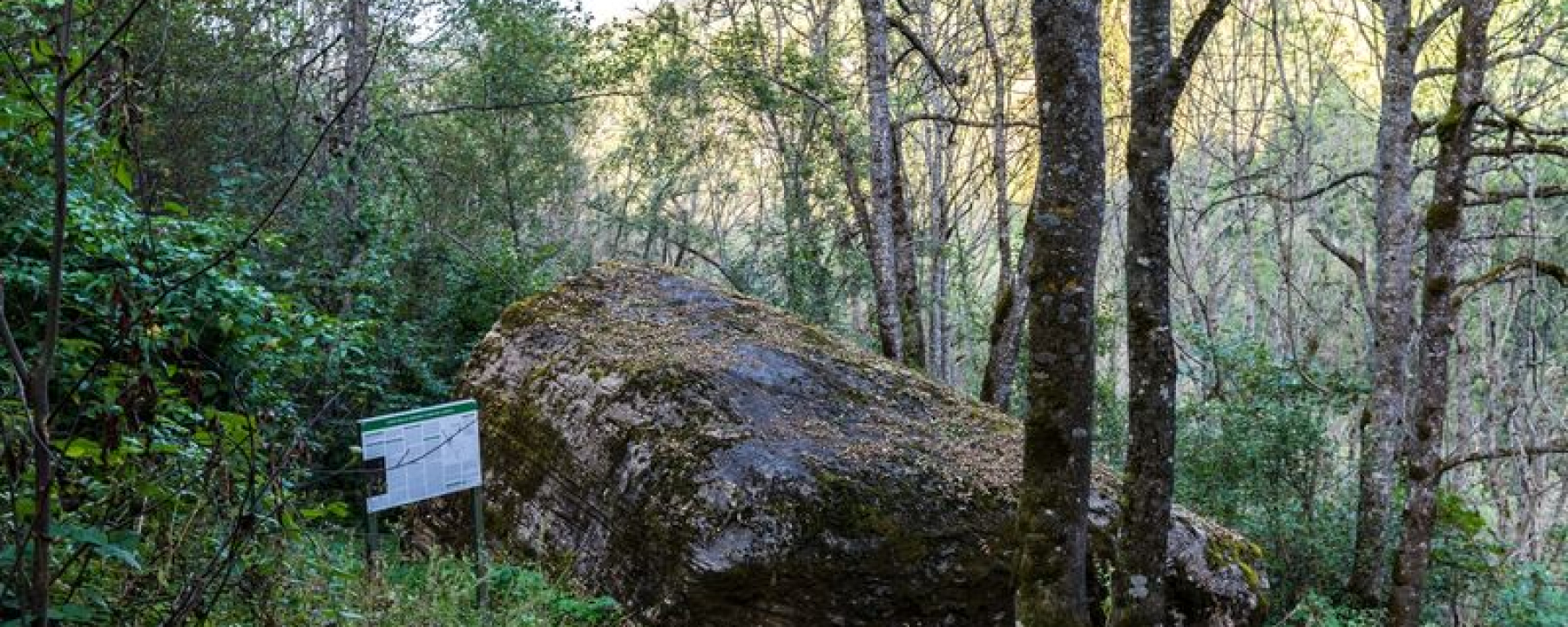 Crap dalla Gneida/Teufelsstein
