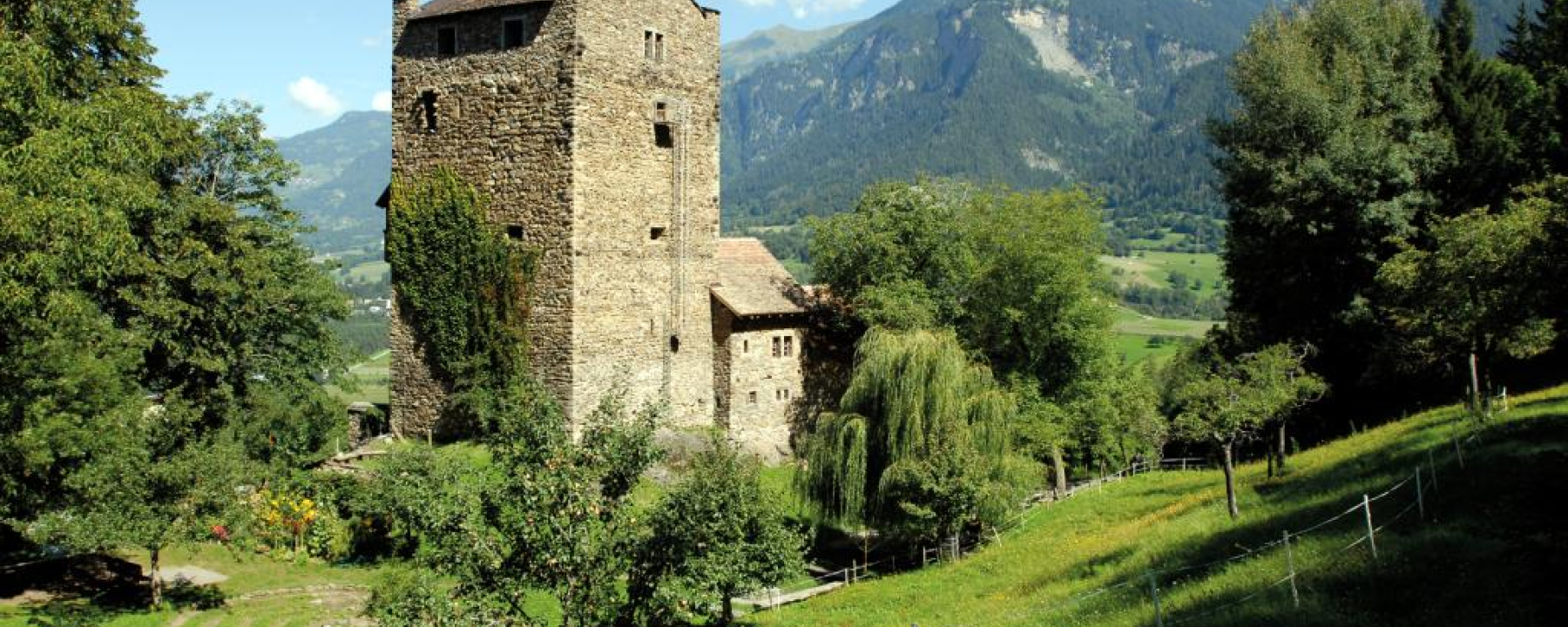 Burg Ehrenfels