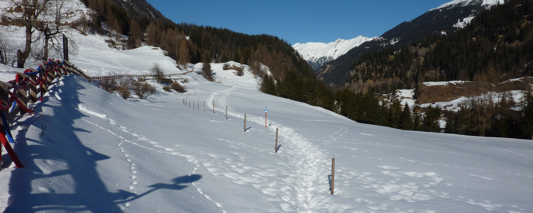 Schneeschuhtrail Bergünerstein