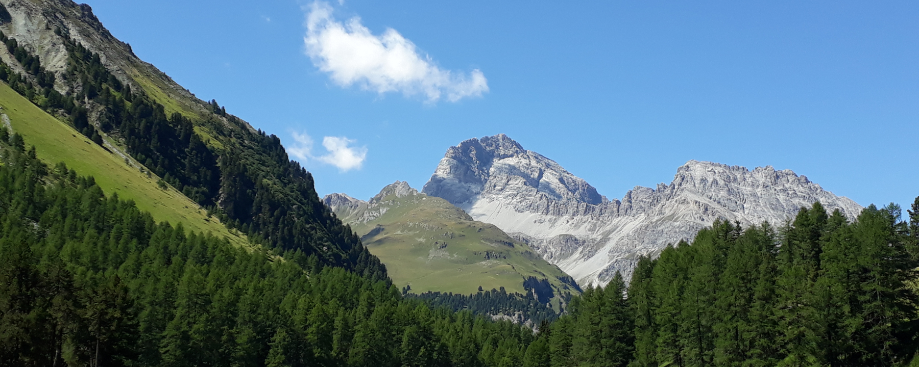 Palpuogna See