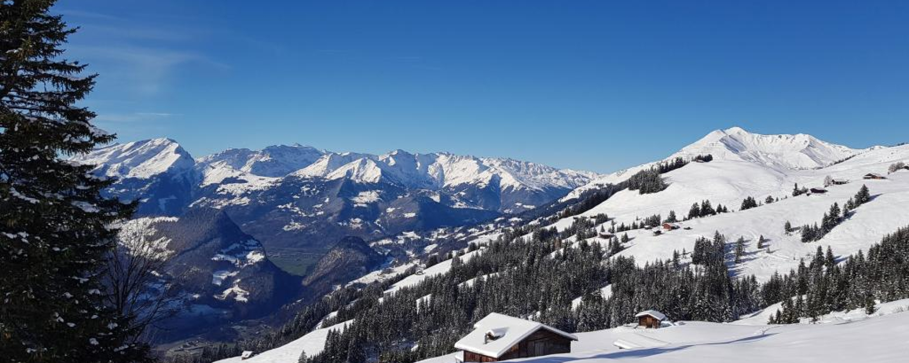 Blick Richtung Calanda / Bündner Rheintal.