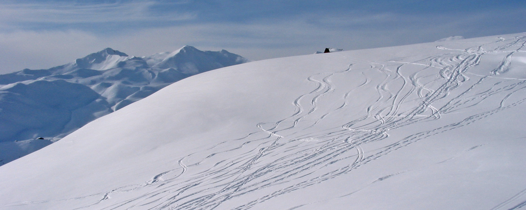 Skitour auf den Schafberg