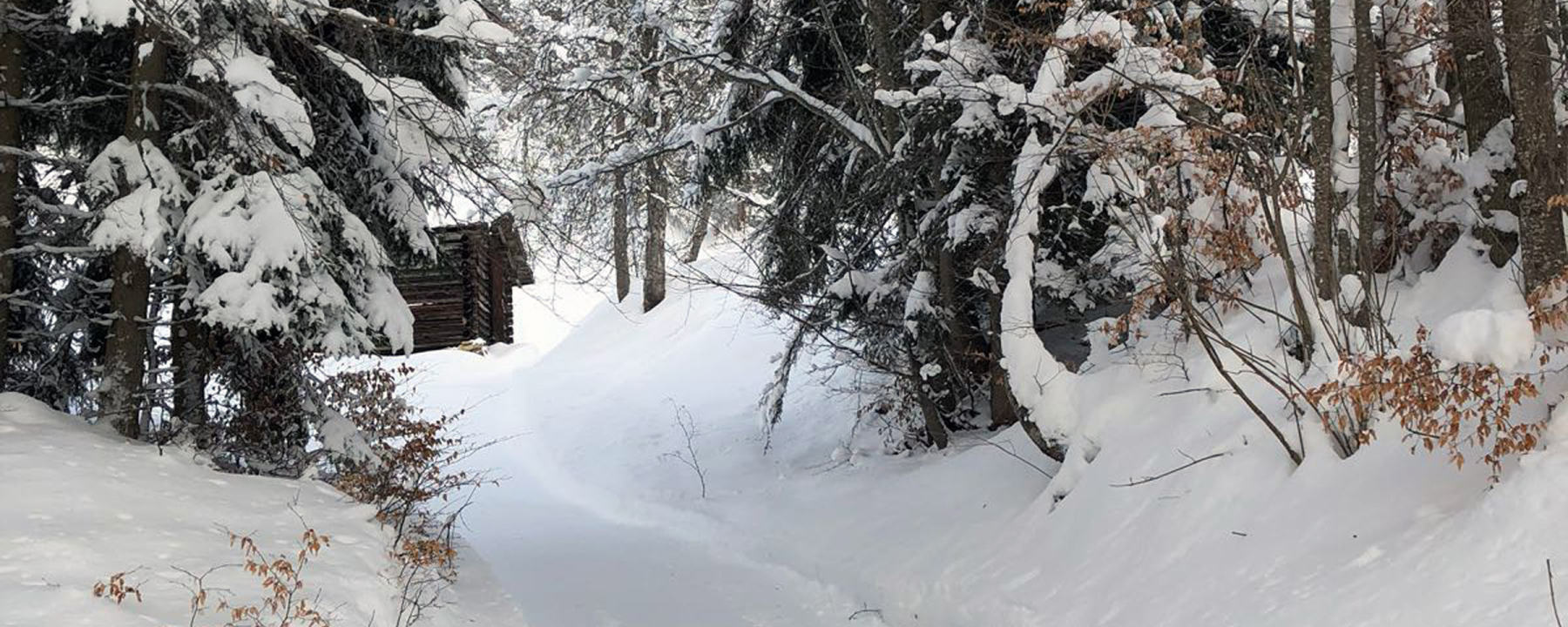 Winterwanderweg Fanas